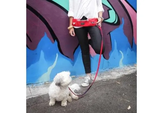 Dog Owners Outdoor Gear Dog Walkie Belt